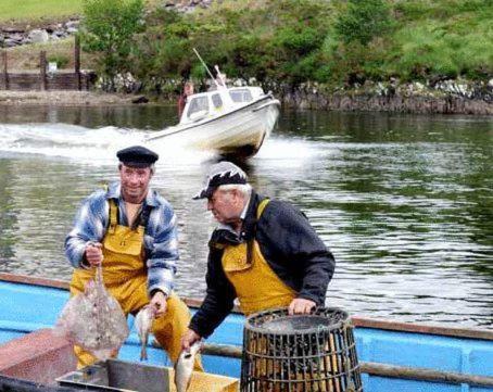 Golden'S Cove Apartments At Sneem Hotel Bagian luar foto